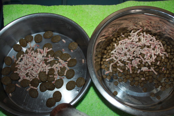 f:id:buhi84shin:20121101210221j:image f:id:buhi84shin:20121101210221j:image