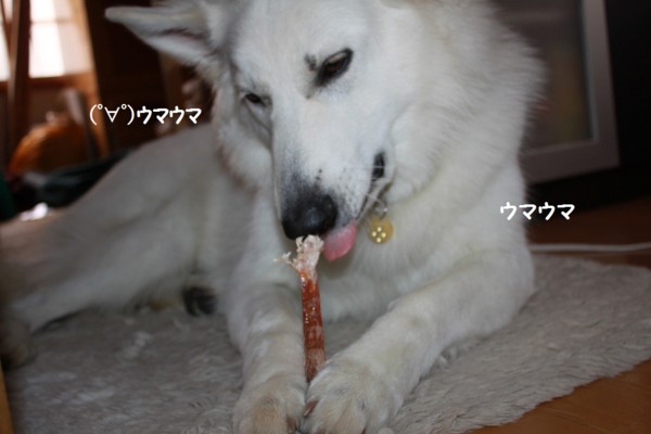 f:id:buhi84shin:20121101212812j:image f:id:buhi84shin:20121101212812j:image