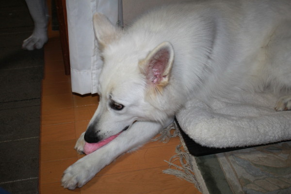 f:id:buhi84shin:20121108224042j:image f:id:buhi84shin:20121108224042j:image