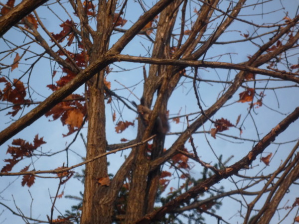 f:id:buhi84shin:20121110211753j:image f:id:buhi84shin:20121110211753j:image