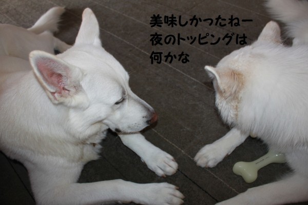 f:id:buhi84shin:20121113222239j:image