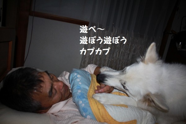 f:id:buhi84shin:20121114213352j:image
