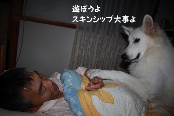 f:id:buhi84shin:20121114213354j:image