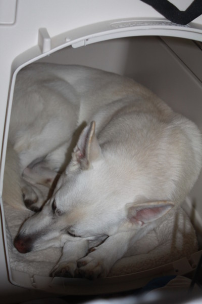 f:id:buhi84shin:20121114214004j:image