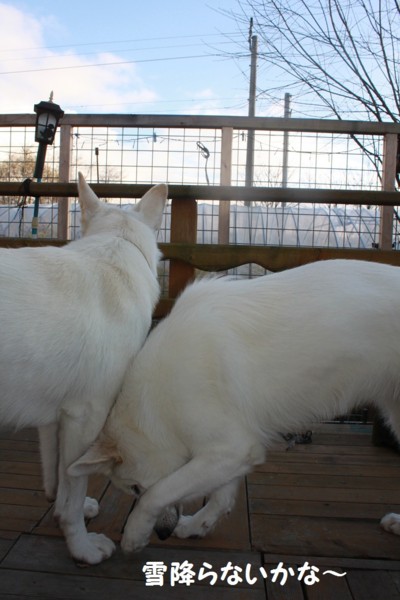 f:id:buhi84shin:20121115211838j:image f:id:buhi84shin:20121115211838j:image