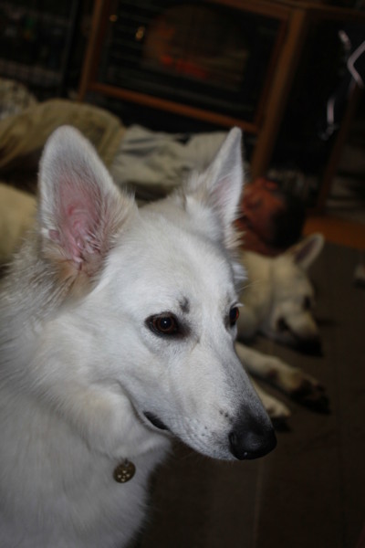 f:id:buhi84shin:20121115215247j:image f:id:buhi84shin:20121115215247j:image