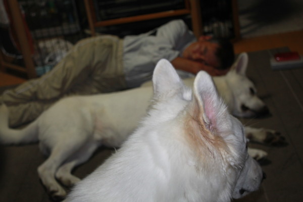 f:id:buhi84shin:20121115215259j:image f:id:buhi84shin:20121115215259j:image