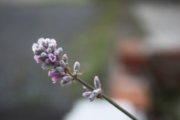 f:id:buhi84shin:20121116203629j:image f:id:buhi84shin:20121116203629j:image