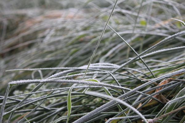 f:id:buhi84shin:20121116203639j:image f:id:buhi84shin:20121116203639j:image