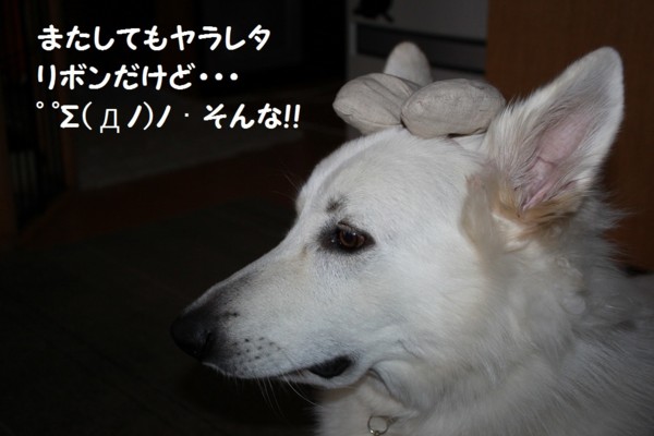 f:id:buhi84shin:20121117213143j:image