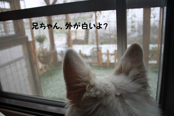 f:id:buhi84shin:20121118194444j:image