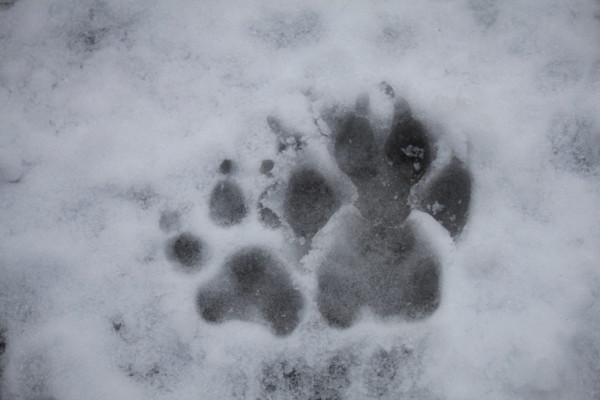 f:id:buhi84shin:20121119205509j:image