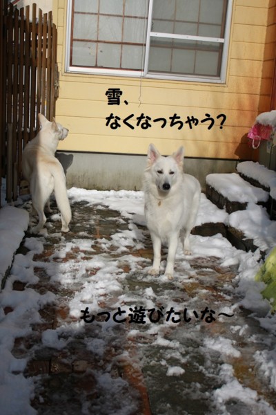 f:id:buhi84shin:20121119210506j:image