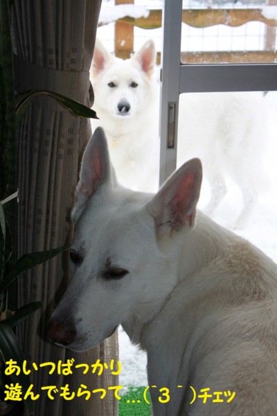 f:id:buhi84shin:20121121214157j:image