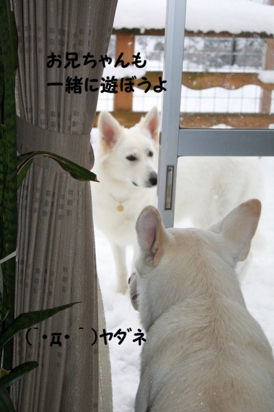 f:id:buhi84shin:20121121214158j:image