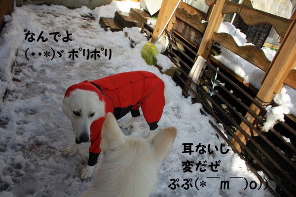 f:id:buhi84shin:20121122201803j:image f:id:buhi84shin:20121122201803j:image
