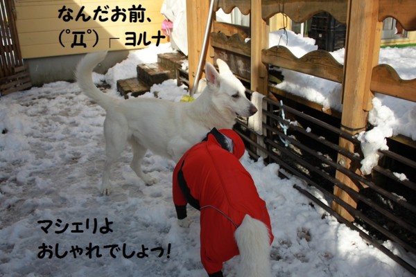 f:id:buhi84shin:20121122201805j:image f:id:buhi84shin:20121122201805j:image
