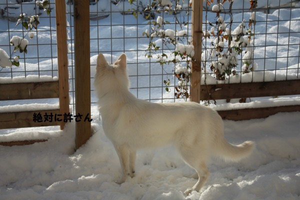 f:id:buhi84shin:20121128210714j:image f:id:buhi84shin:20121128210714j:image