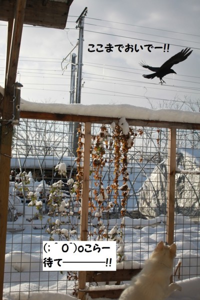 f:id:buhi84shin:20121128210716j:image f:id:buhi84shin:20121128210716j:image