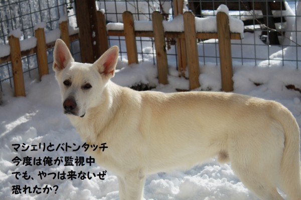 f:id:buhi84shin:20121128211334j:image f:id:buhi84shin:20121128211334j:image