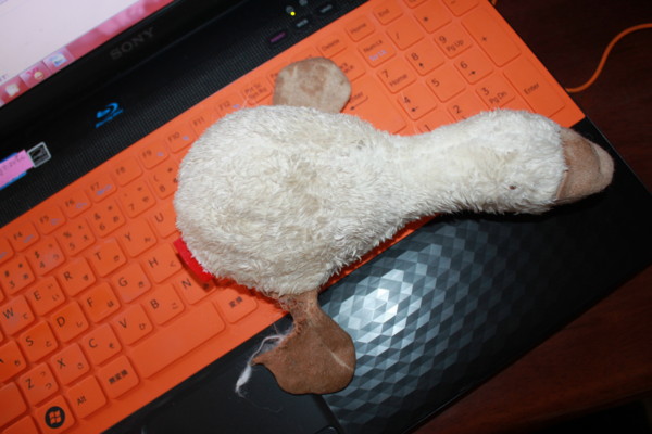 f:id:buhi84shin:20121208113146j:image f:id:buhi84shin:20121208113146j:image