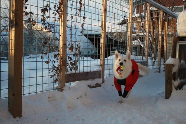 f:id:buhi84shin:20121208113157j:image f:id:buhi84shin:20121208113157j:image