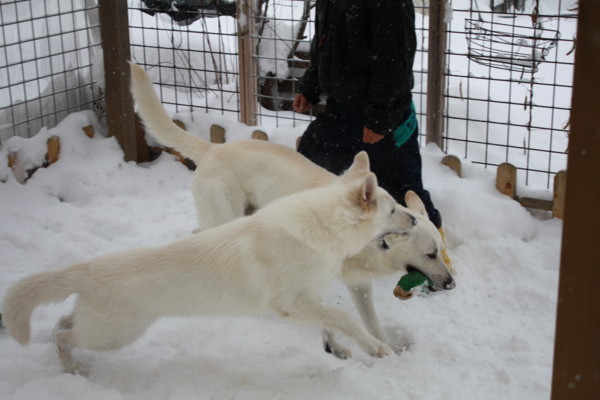 f:id:buhi84shin:20121216211020j:image