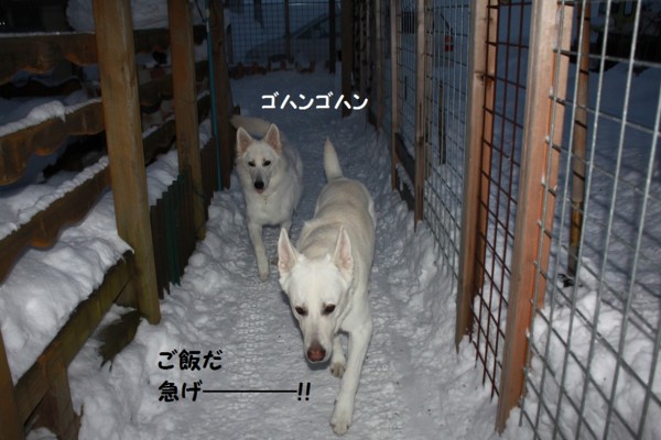 f:id:buhi84shin:20121217212505j:image