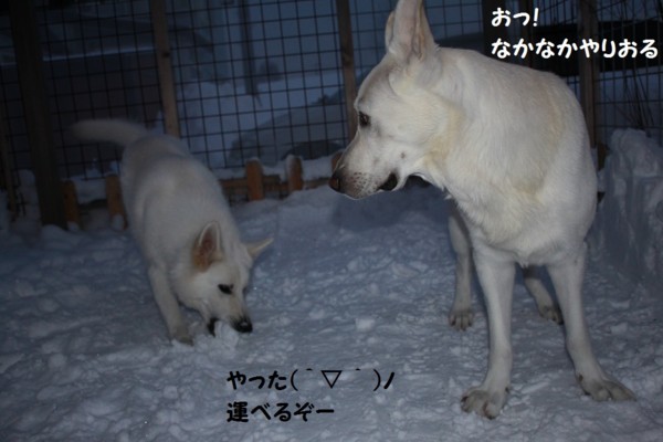 f:id:buhi84shin:20121217212508j:image