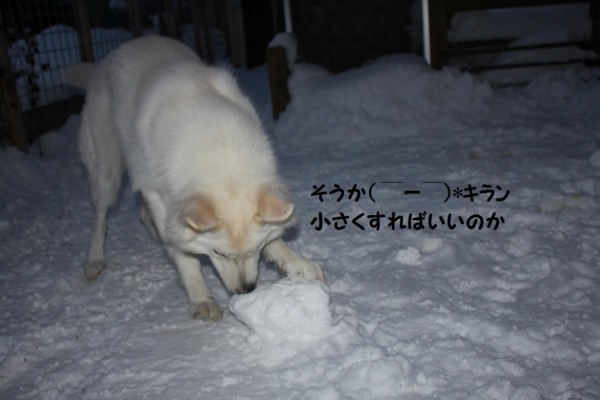 f:id:buhi84shin:20121217212511j:image