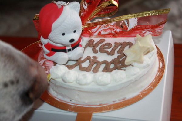 f:id:buhi84shin:20121223203616j:image f:id:buhi84shin:20121223203616j:image