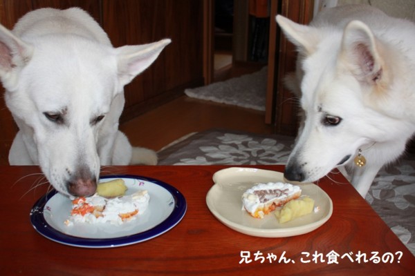 f:id:buhi84shin:20121223204827j:image f:id:buhi84shin:20121223204827j:image