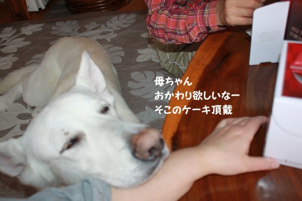 f:id:buhi84shin:20121223211822j:image f:id:buhi84shin:20121223211822j:image