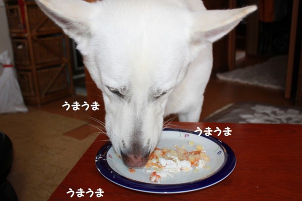 f:id:buhi84shin:20121223211825j:image f:id:buhi84shin:20121223211825j:image