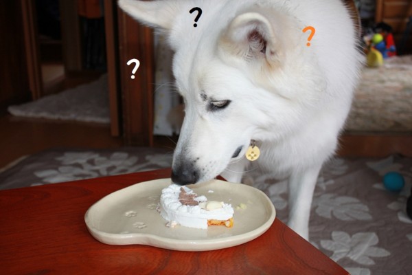 f:id:buhi84shin:20121223211826j:image f:id:buhi84shin:20121223211826j:image
