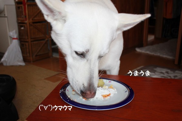 f:id:buhi84shin:20121223211827j:image f:id:buhi84shin:20121223211827j:image