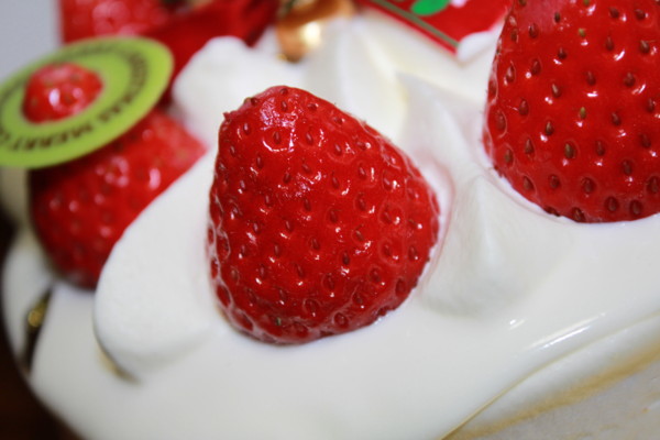 f:id:buhi84shin:20121223213100j:image f:id:buhi84shin:20121223213100j:image