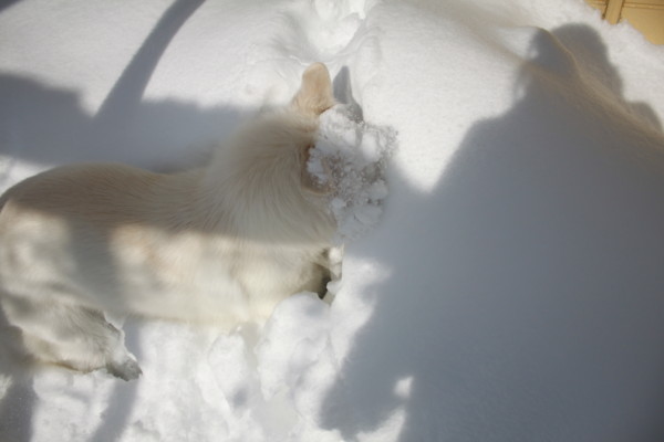 f:id:buhi84shin:20121228222025j:image f:id:buhi84shin:20121228222025j:image