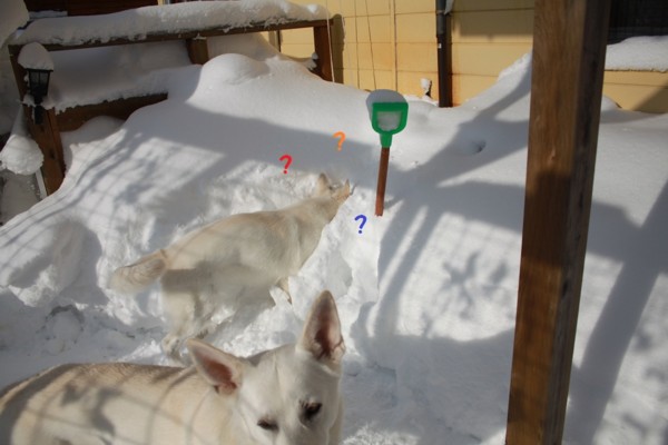 f:id:buhi84shin:20121228222035j:image f:id:buhi84shin:20121228222035j:image