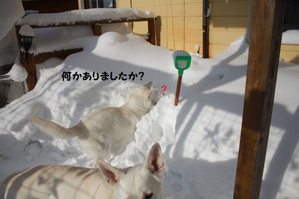 f:id:buhi84shin:20121228222036j:image f:id:buhi84shin:20121228222036j:image
