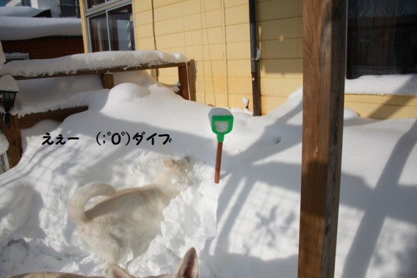 f:id:buhi84shin:20121228222037j:image f:id:buhi84shin:20121228222037j:image