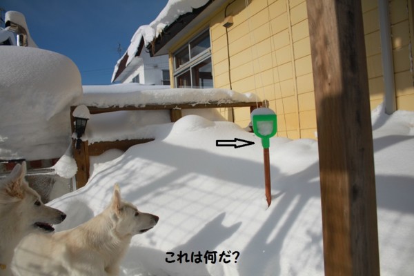 f:id:buhi84shin:20121228222040j:image f:id:buhi84shin:20121228222040j:image