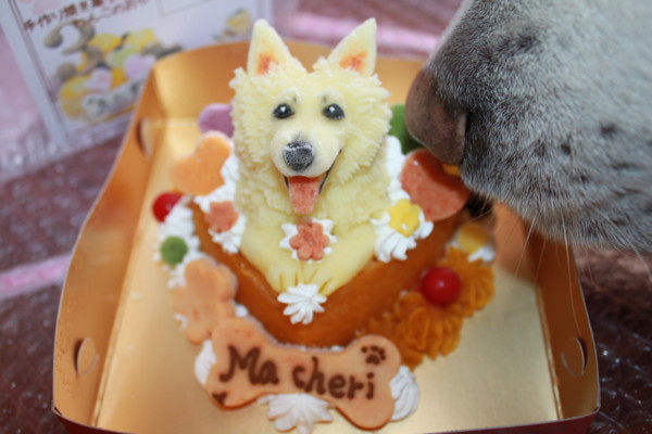 f:id:buhi84shin:20130107141439j:image