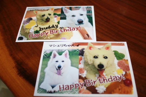 f:id:buhi84shin:20130116202852j:image f:id:buhi84shin:20130116202852j:image