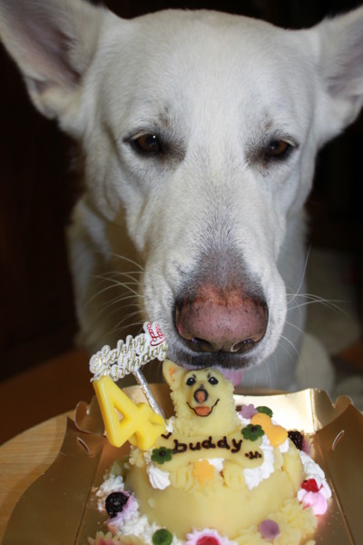 f:id:buhi84shin:20130116202902j:image f:id:buhi84shin:20130116202902j:image