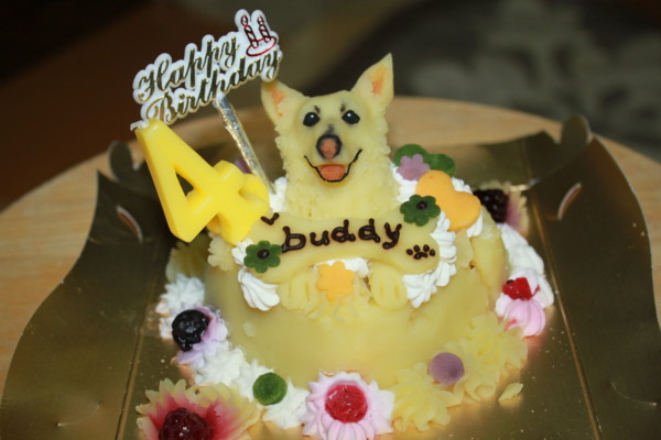 f:id:buhi84shin:20130116202915j:image f:id:buhi84shin:20130116202915j:image