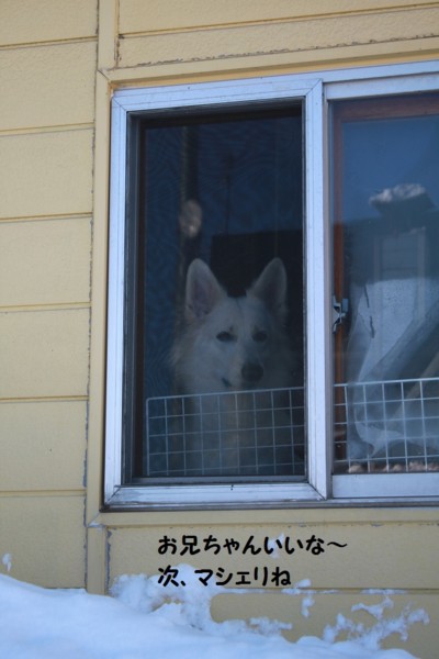 f:id:buhi84shin:20130116205030j:image f:id:buhi84shin:20130116205030j:image