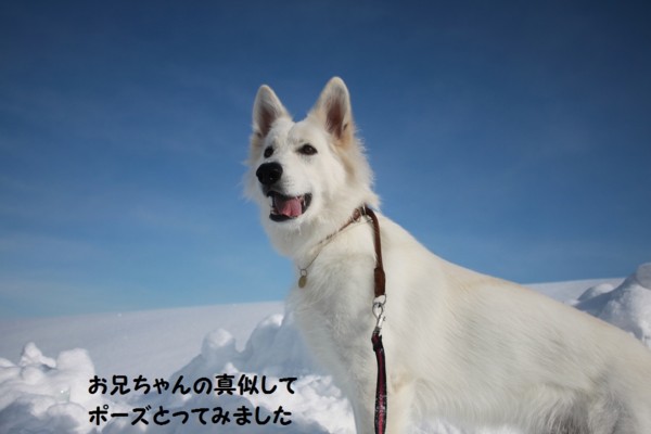 f:id:buhi84shin:20130117222728j:image f:id:buhi84shin:20130117222728j:image