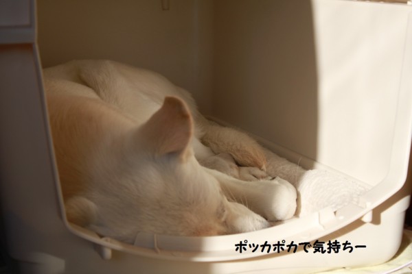 f:id:buhi84shin:20130117223145j:image f:id:buhi84shin:20130117223145j:image