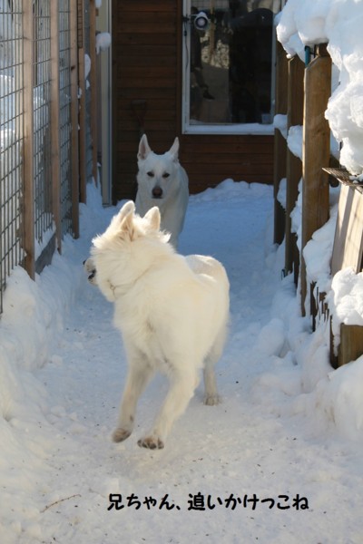 f:id:buhi84shin:20130117224215j:image f:id:buhi84shin:20130117224215j:image